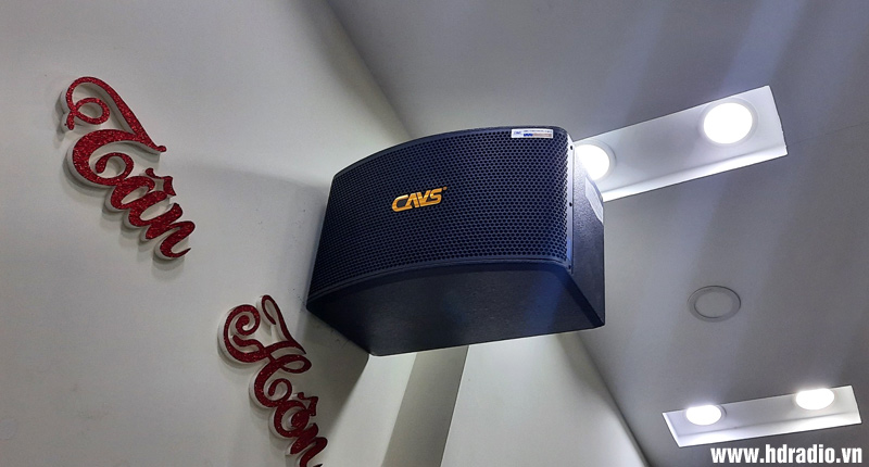 anh-dung-o-tan-binh-ho-chi-minh1