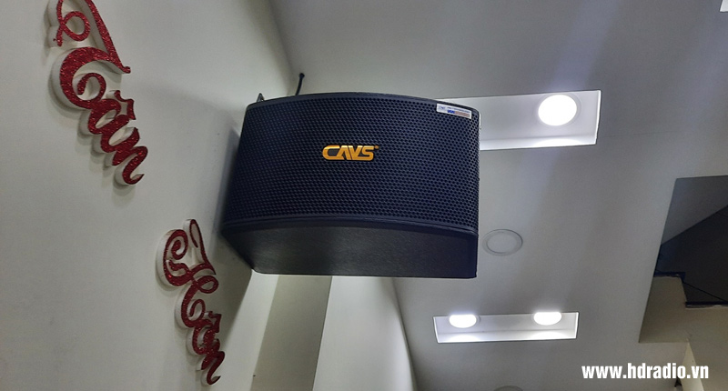 anh-dung-o-tan-binh-ho-chi-minh2