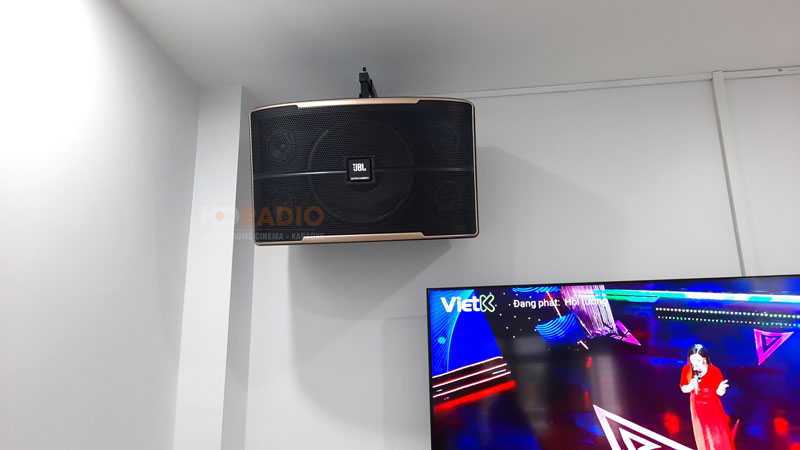 anh-hau-binh-tan-ho-chi-minh1