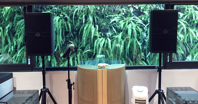 Lắp dàn karaoke cao cấp anh Lâm ở Tây Hồ, Hà Nội (Wharfedale ANGLO 12,  Crown XTi6002, Shure BLX288A/SM58, JKaudio X9000, SOUNDCRAFT FX16ii, KIWI S803A)