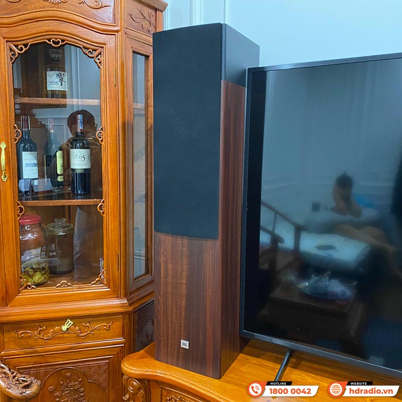 Dàn Nghe Nhạc và Hát Karaoke NK15 ( JBL A180 + AXR100 + Micro + vang số )-2