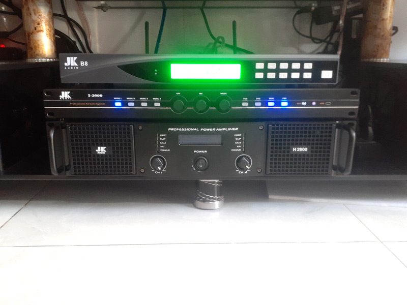 anh-phu-o-binh-chanh-ho-chi-minh1