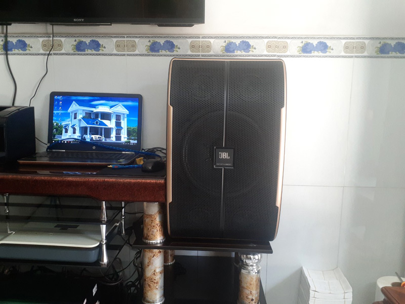 anh-phu-o-binh-chanh-ho-chi-minh2