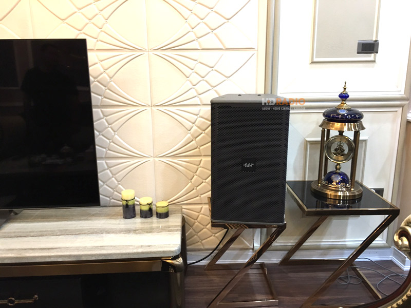 lap-dat-dan-karaoke-vip-cho-anh-quy-o-tay-son-dong-da-ha-noi1