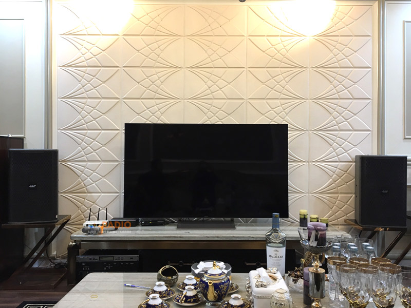 lap-dat-dan-karaoke-vip-cho-anh-quy-o-tay-son-dong-da-ha-noi2