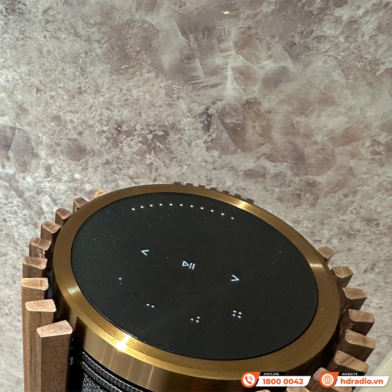 Loa B&O Beolab 28 của anh Thành ở Quận Đống Đa, Hà Nội