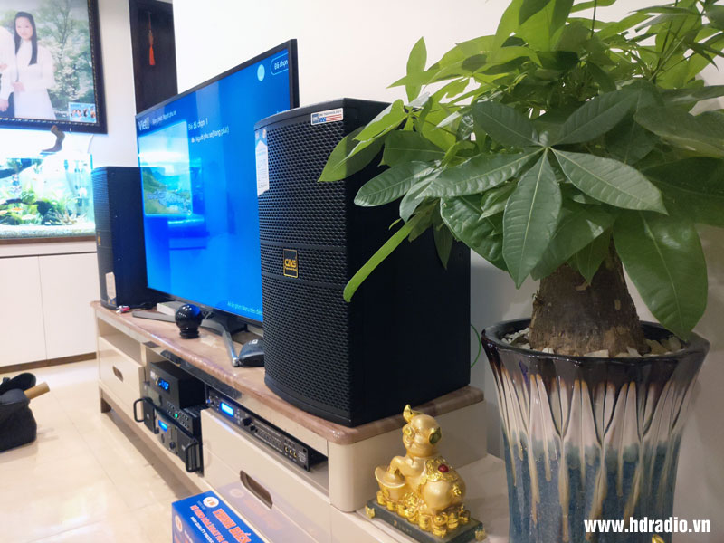 anh-tung-o-linh-dam-hoang-liet-hoang-mai-hn2