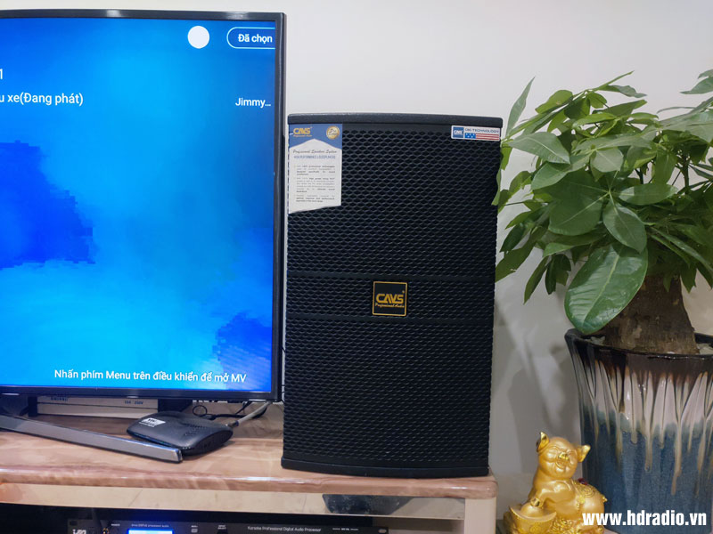 anh-tung-o-linh-dam-hoang-liet-hoang-mai-hn5