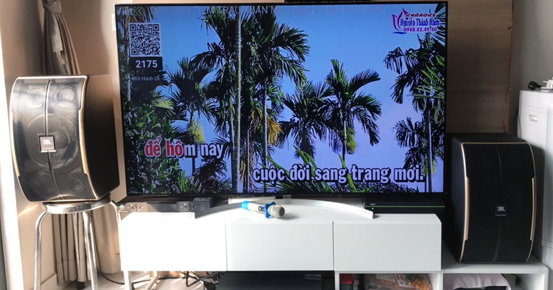 Lắp dàn karaoke chị Hạnh ở quận 8, Hồ Chí Minh (Loa JBL Pasion 10, Cục công suất JKAudio H2400, Vang số JKaudio X6000 Pro, Micro JKAudio B5 Plus, Đầu ViệtK Pro 6TB)
