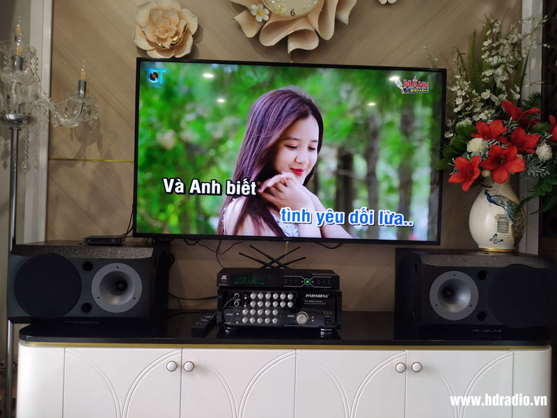 Lắp dàn karaoke chị Hạnh ở Vincom Trần Duy Hưng, Cầu Giấy, HN (Loa Wharfedale 1132, Amply paramax sa 888 Piano New, Micro không dây JKAudio B3 Plus,)
