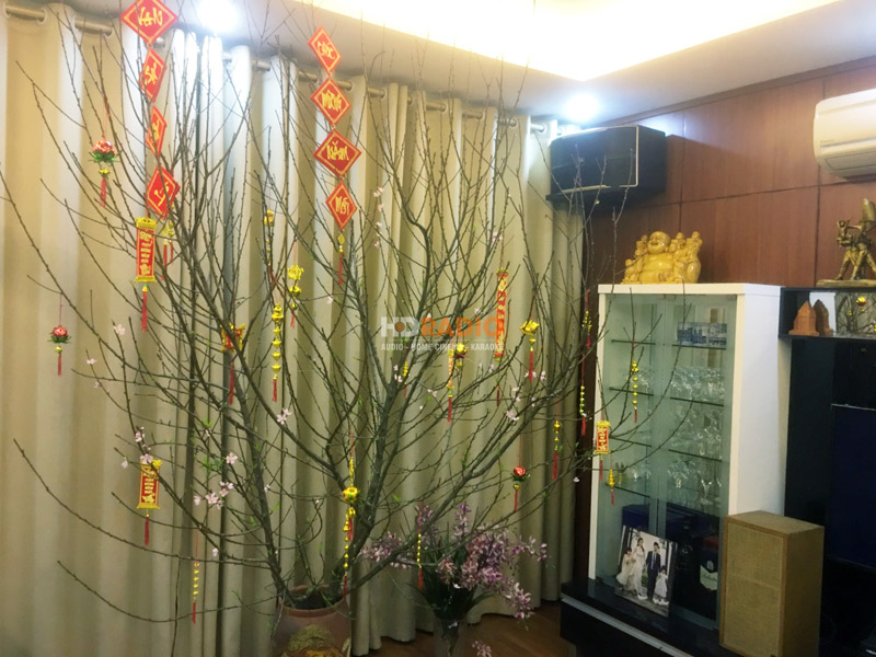 chi-nhuan-tai-kdt-my-dinh-tran-huu-duc-nam-tu-liem-hn