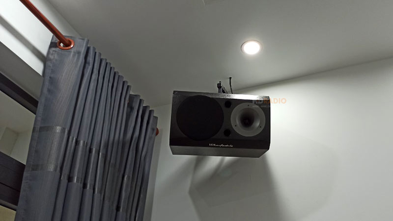 chi-thao-o-phu-trung-tan-phu-ho-chi-minh3