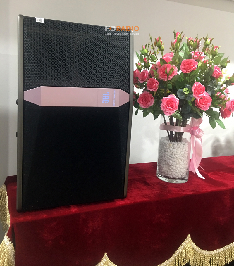 lap-dan-karaoke-chi-thuy5