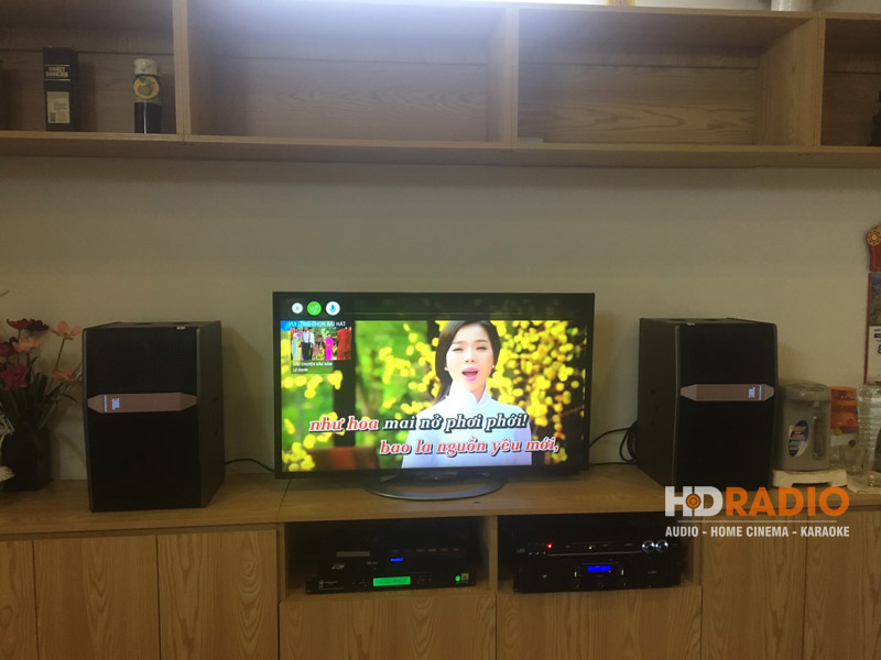 dan-am-thanh-karaoke-tai-chung-cu-skylight7
