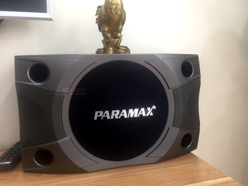 dan-karaoke-paramax-cua-chi-dung-o-ha-dong2