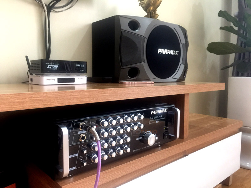 dan-karaoke-paramax-cua-chi-dung-o-ha-dong4