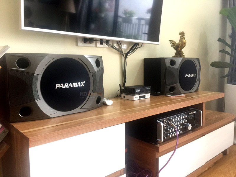 dan-karaoke-paramax-cua-chi-dung-o-ha-dong5