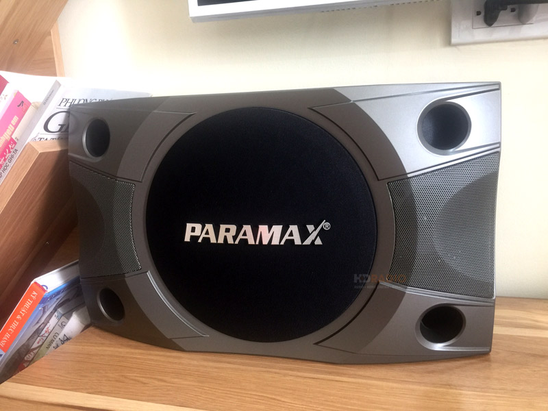 dan-karaoke-paramax-cua-chi-dung-o-ha-dong6