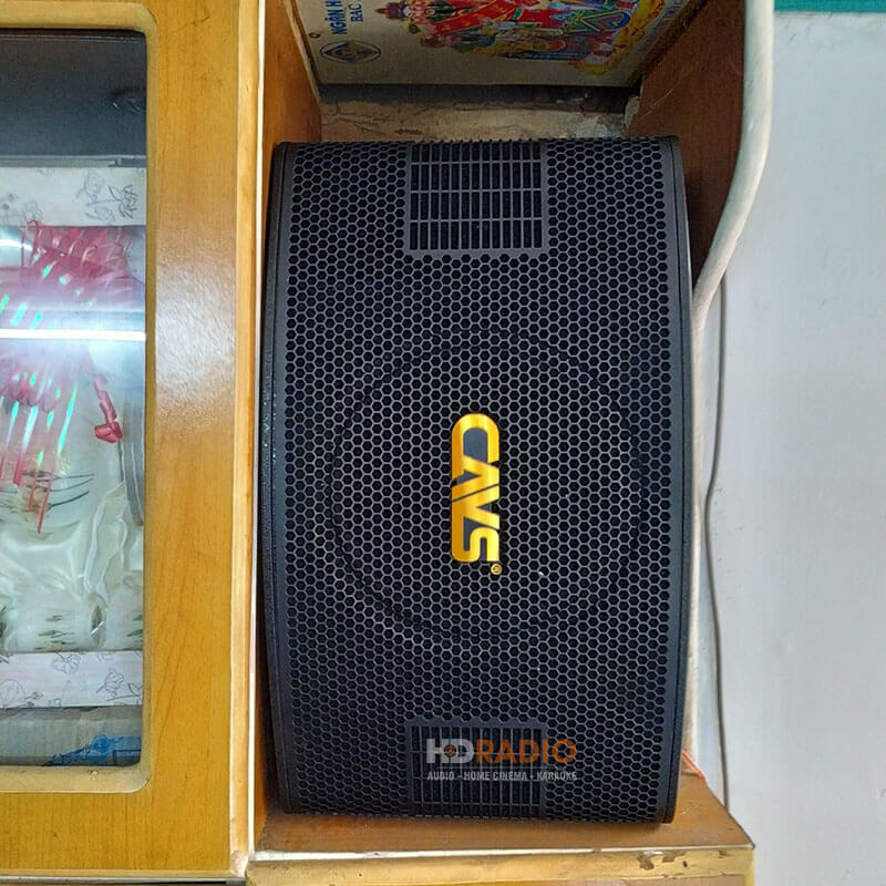 dan-karaoke-gia-dinh-a-dung-2