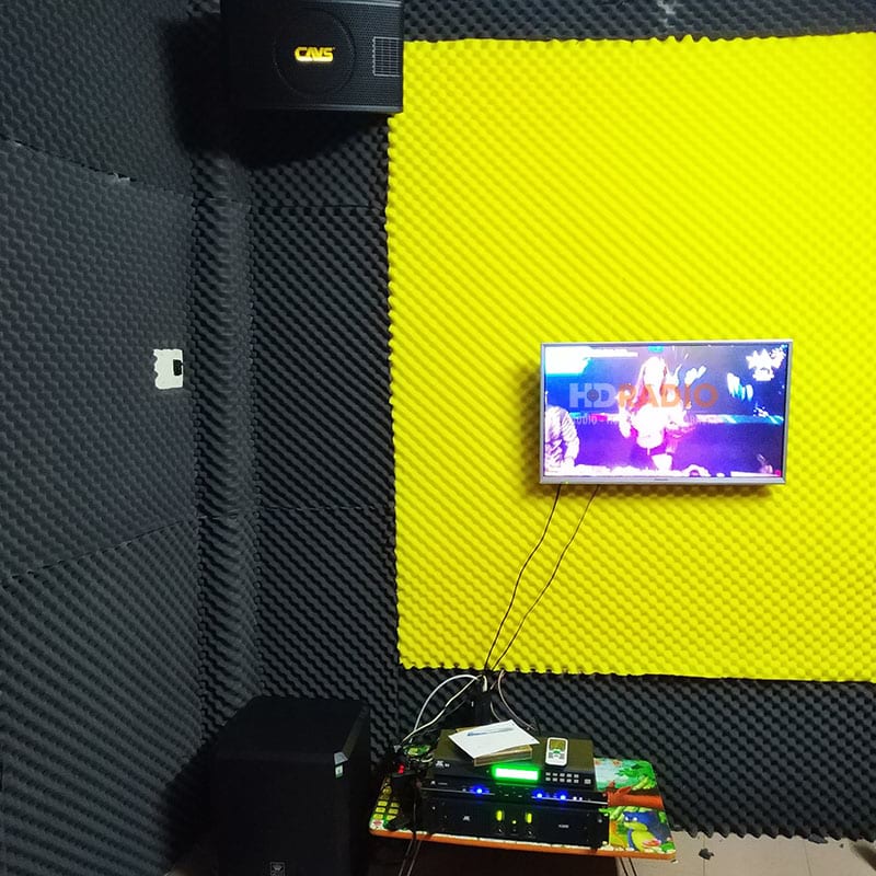 anh-tuan-anh-phu-nhuan-1