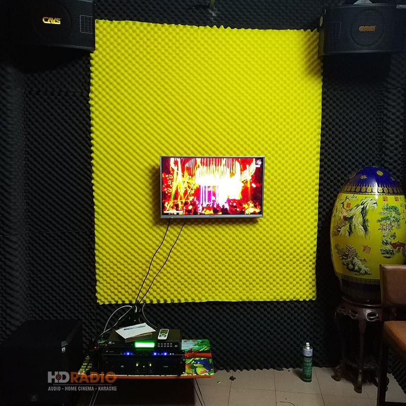 anh-tuan-anh-phu-nhuan-2