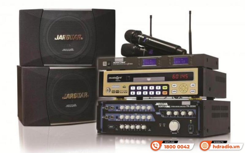 Loa karaoke có cần phải kết hợp với amply riêng không?