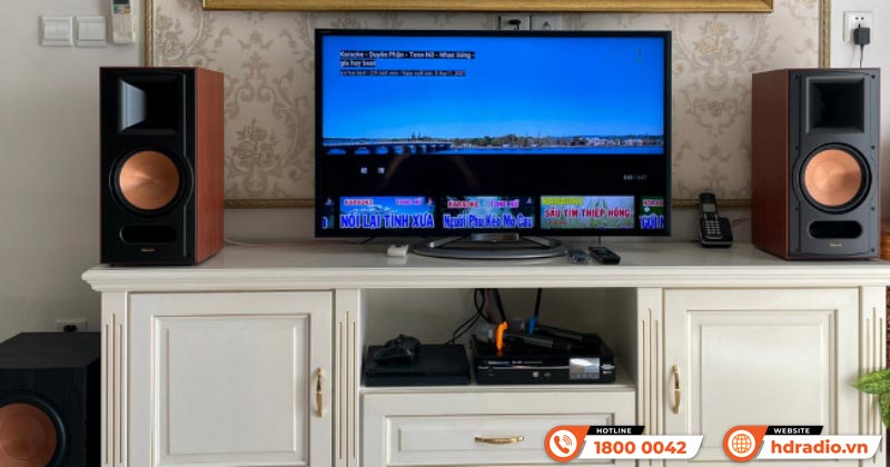 Loa karaoke có cần phải kết hợp với amply riêng không?