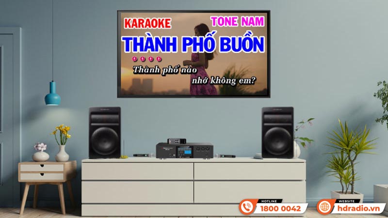 Loa karaoke có cần phải kết hợp với amply riêng không?