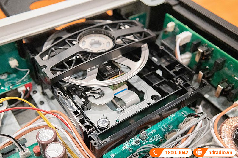 đặc điểm chung 