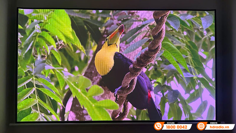 Màn chiếu điện Jmgo 100 inch trong nhà anh Minh ở Nam Từ Liêm, Hà Nội