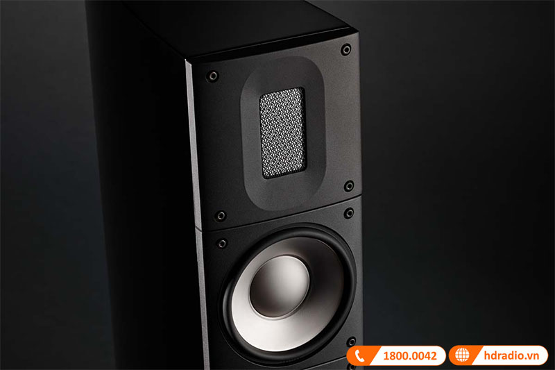 loa tweeter Raidho Ribbon