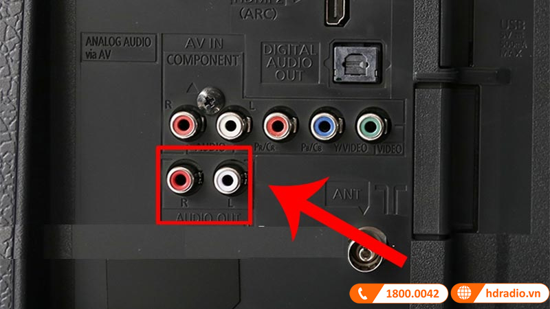 Cổng AV là gì? Tất cả các cổng AV hiện nay Cổng AV là gì? Tất cả các cổng AV hiện nay