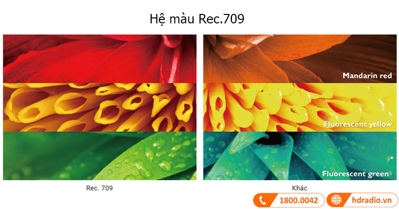 he mau rec.709