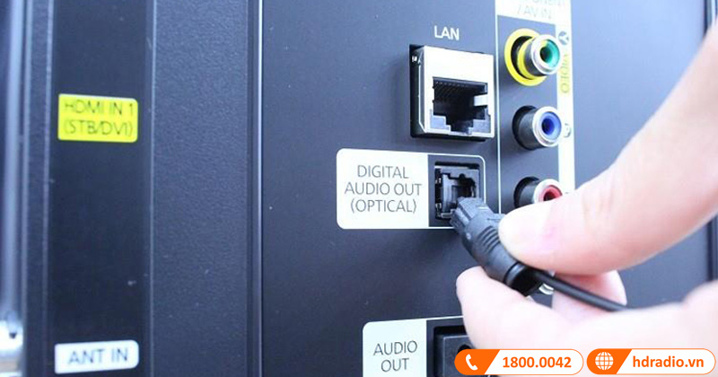 cong optical bi hong