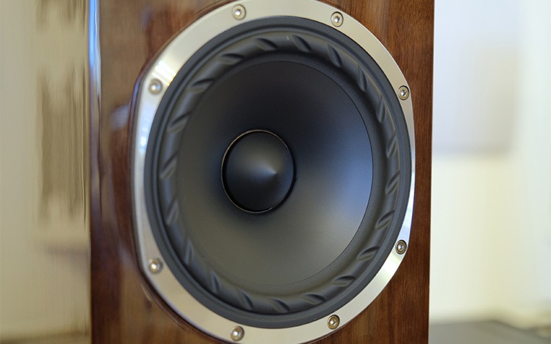 Fyne Audio cho ra mắt phiên bản loa đứng đặc biệt giới hạn mang tên F501SP với những nâng cấp ấn tượng