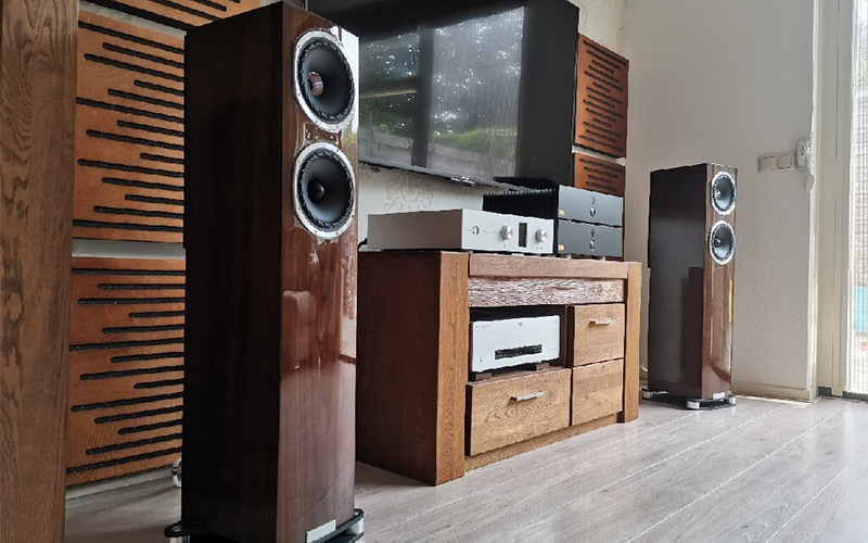 Fyne Audio cho ra mắt phiên bản loa đứng đặc biệt giới hạn mang tên F501SP với những nâng cấp ấn tượng