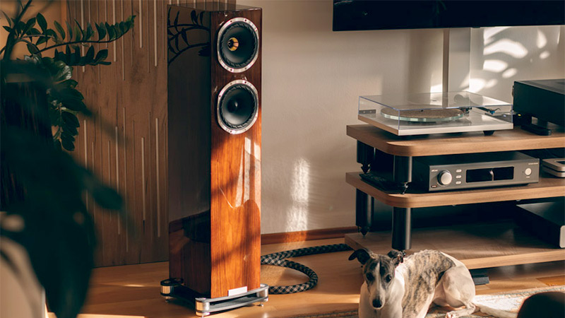 Fyne Audio cho ra mắt phiên bản loa đứng đặc biệt giới hạn mang tên F501SP với những nâng cấp ấn tượng