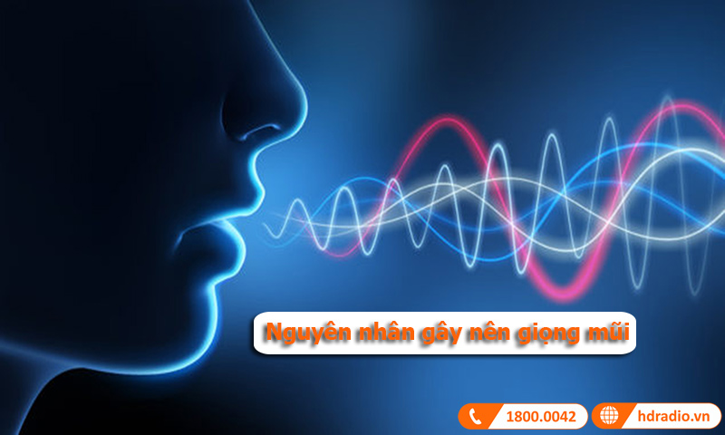 Nguyên nhân gây giọng mũi