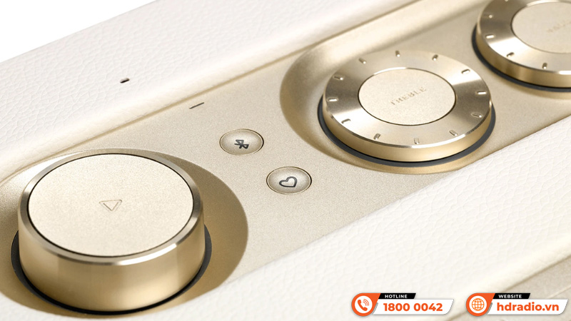 Loa JBL Authentics 200 Platinum Edition