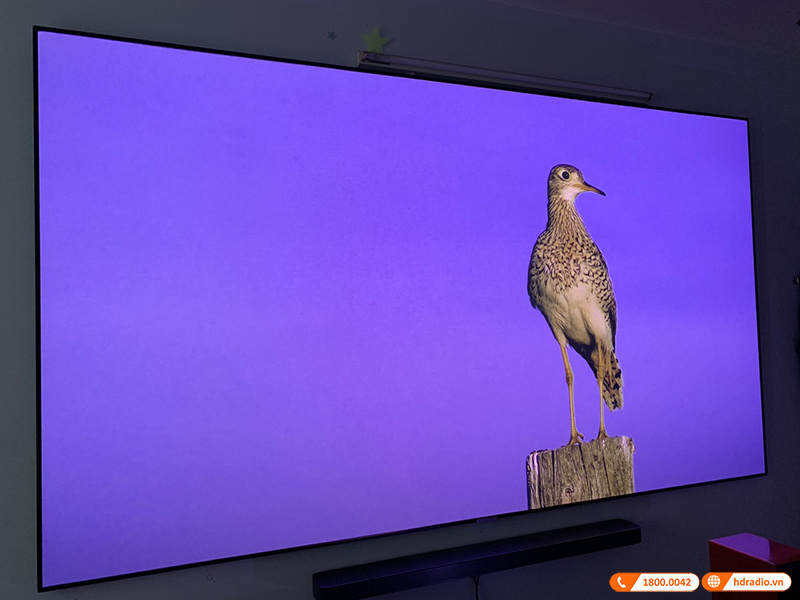 Lắp hệ thống trình chiếu 4K cao cấp trị giá hơn 202 triệu đồng cho anh Quý ở Đê La Thành - Hà Nội Lắp hệ thống trình chiếu 4K cao cấp trị giá hơn 202 triệu đồng cho anh Quý ở Đê La Thành - Hà Nội