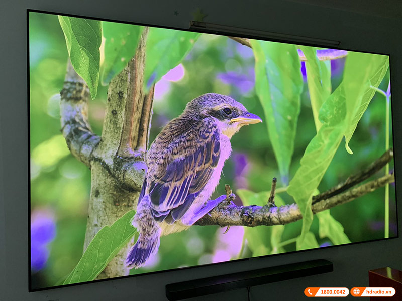 Lắp hệ thống trình chiếu 4K cao cấp trị giá hơn 202 triệu đồng cho anh Quý ở Đê La Thành - Hà Nội Lắp hệ thống trình chiếu 4K cao cấp trị giá hơn 202 triệu đồng cho anh Quý ở Đê La Thành - Hà Nội