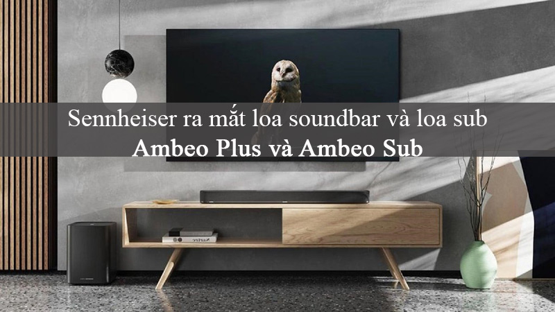loa soundbar Ambeo Plus va loa Ambeo Sub