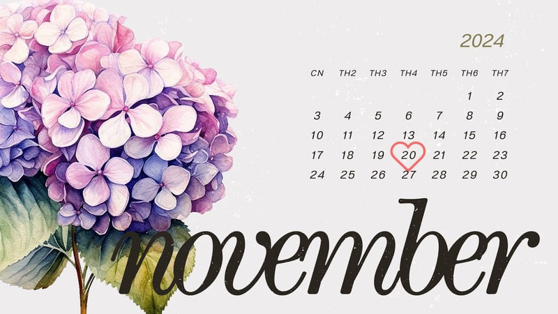 Những Món Quà Ý Nghĩa Cho Thầy Cô Trong Ngày 20/11