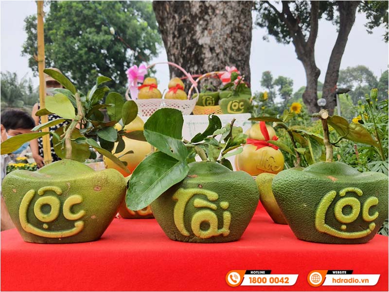 Tặng trái cây độc lạ