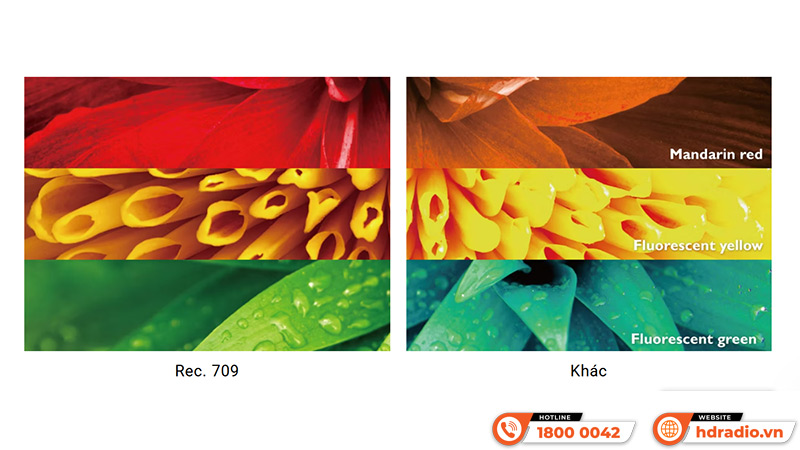 Toàn cảnh Công nghệ CinematicColor trên máy chiếu BenQ