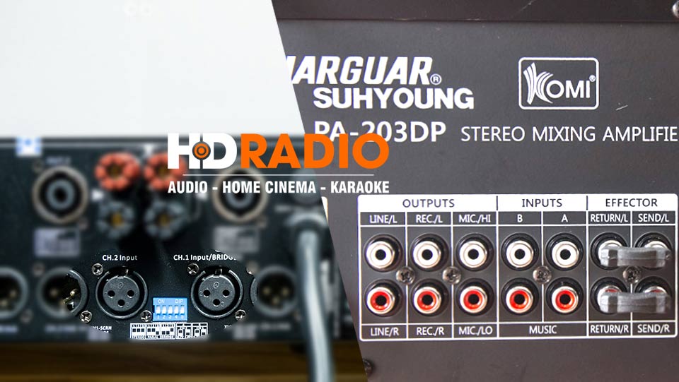 cong-cam-cuc-day-voi-amly