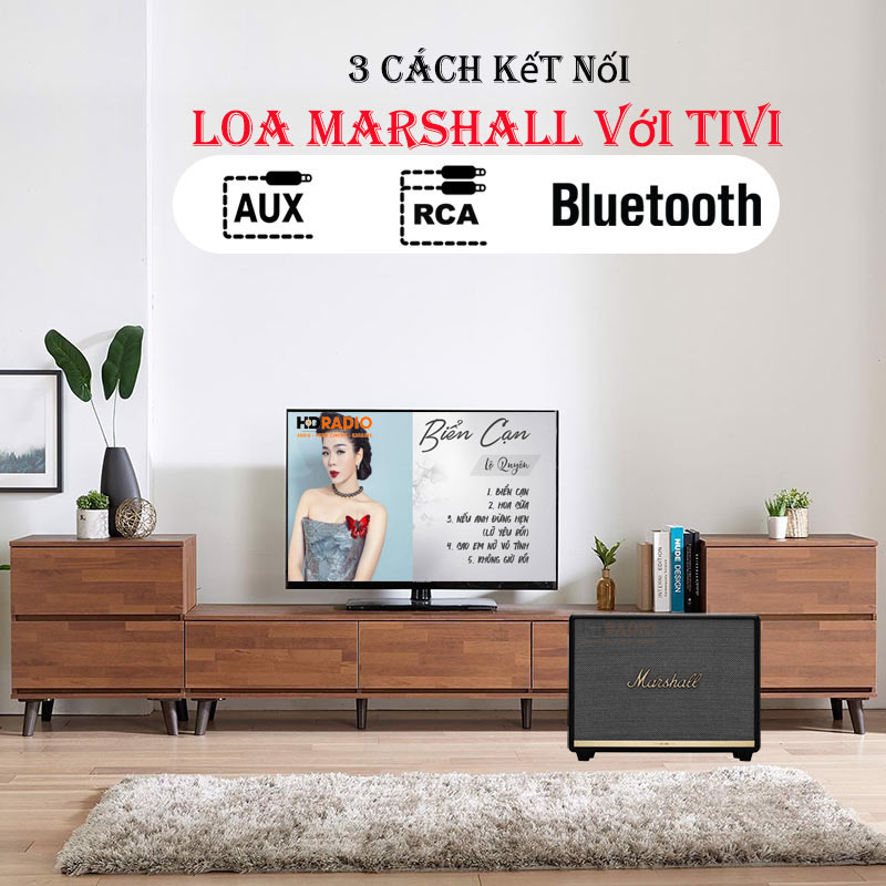 3 cách kết nối loa marshall với tivi