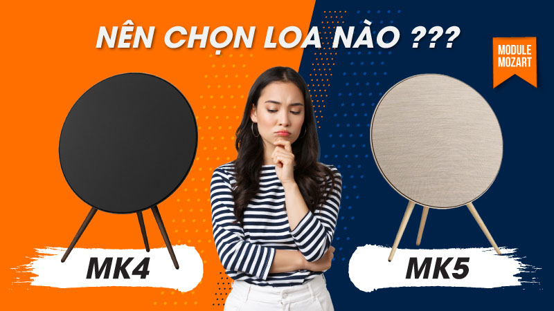 nen chon mua loa nao