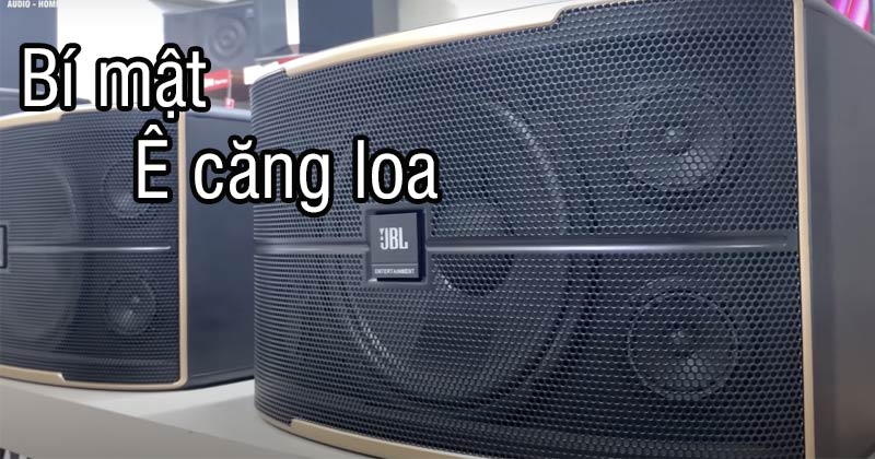 Ê Căng Loa Là Gì, Tác Dụng Của Ê Căng Loa