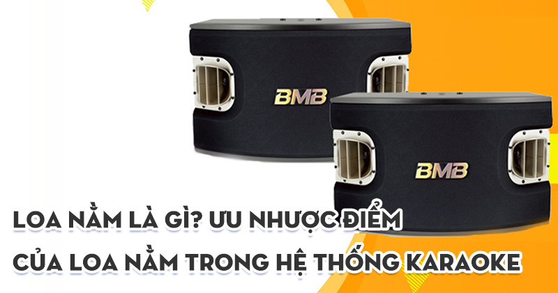 Loa Nằm Là Gì? Ưu Nhược Điểm Loa Nằm Ngang Trong Karaoke